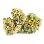 Supurb Delivery Website