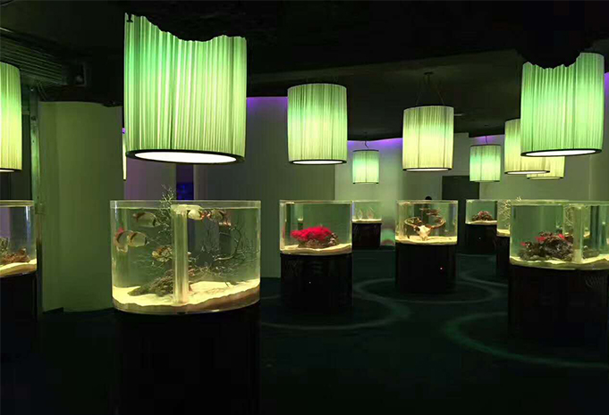 Lumini Technology Co.,Ltd Website