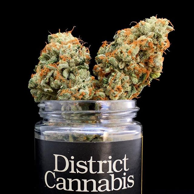 Metropolitan Wellness Center Website