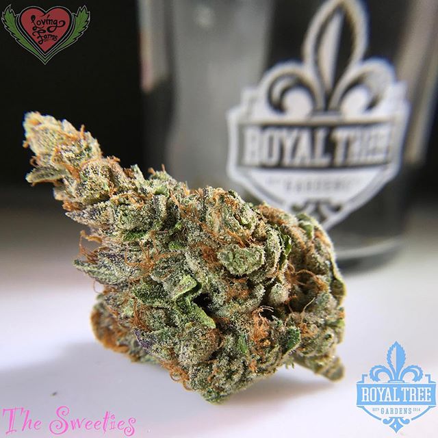 Loving Farms - Mount Vernon Website