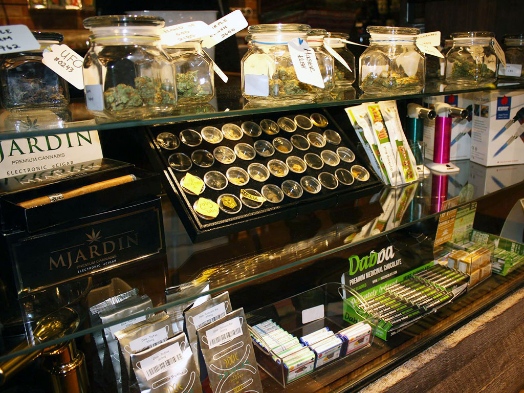 Buddy Boy Walnut - Rino Website