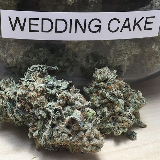 Harvest House Nederland Website