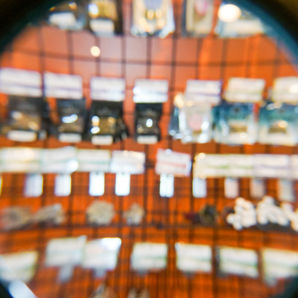 A Greener Today - Shoreline Website