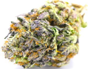 The THC collective Website