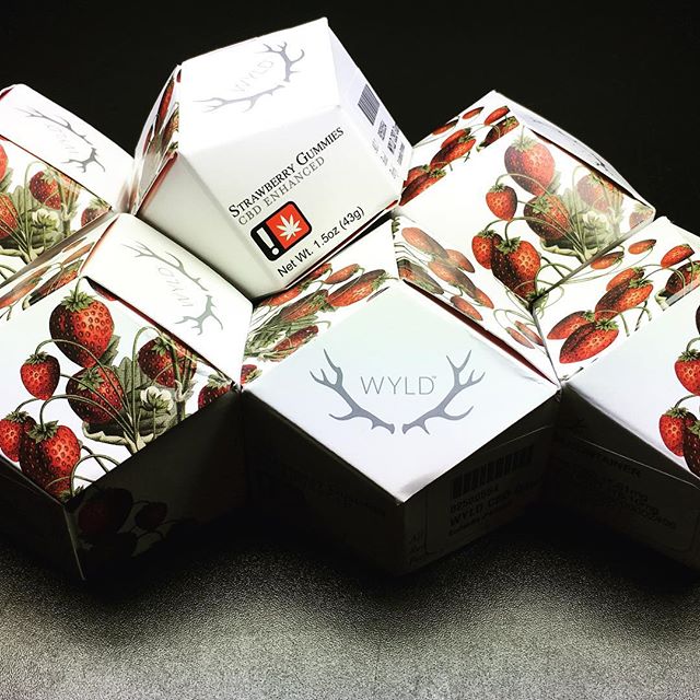 Budlandia - Division St. Website