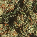 A Friend Indeed Website