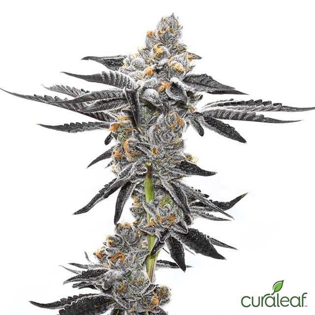 Curaleaf - Youngtown Website