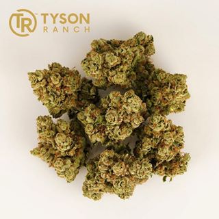 Kushism Van Nuys Website