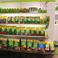 asb greenworld Website