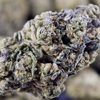 The Cannabis Method Website