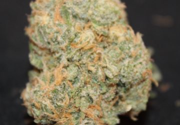 Green Fellas Website