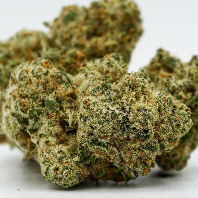 Diego Pellicer - Denver Website