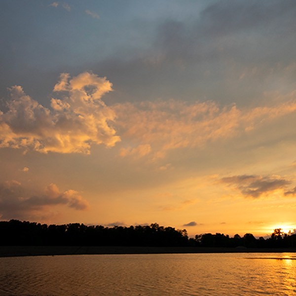 Apeks Super Critical Systems Website