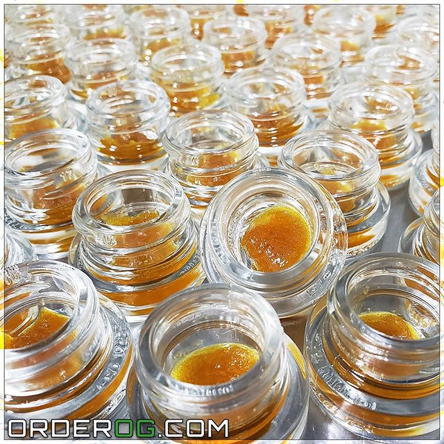 OG Collective - Hawthorne Website