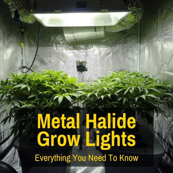 Grow Light Central Website