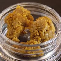 White Fire Delivery Website