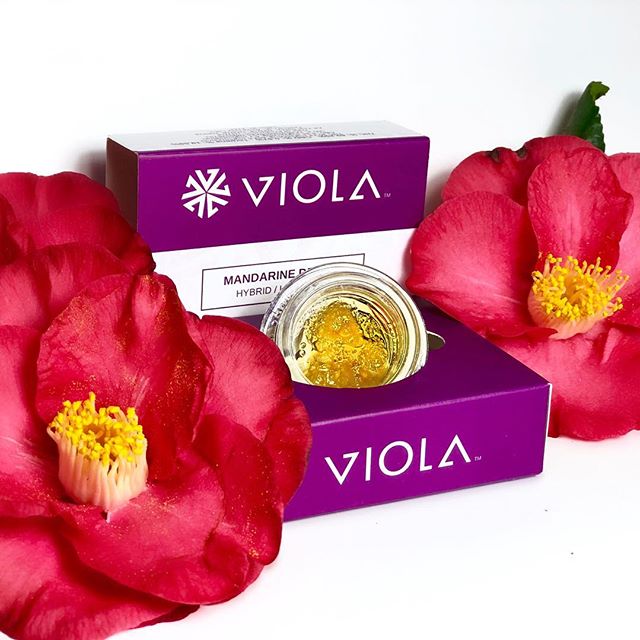 Mr. Nice Guy - State St. Website