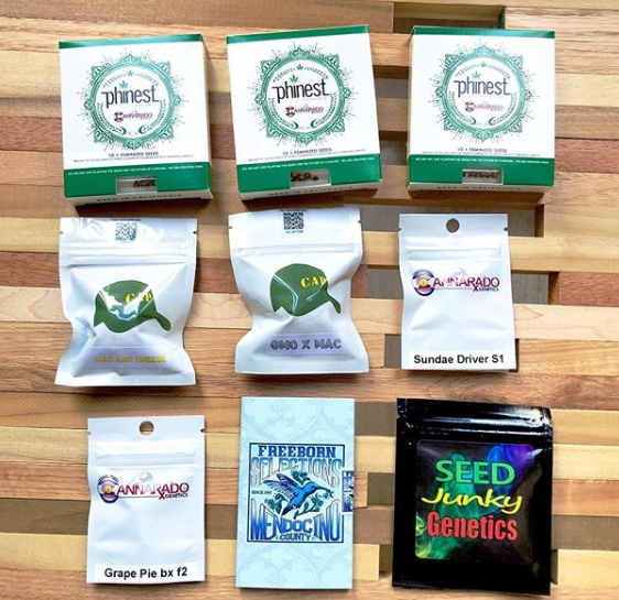 Green Elevation Delivery Website