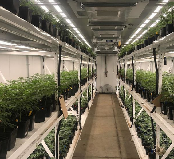 Greenhaus Industries Website