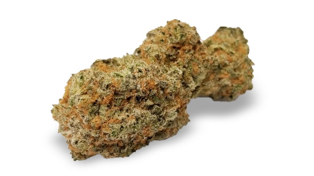 Nature's Medicines - Fall River Website