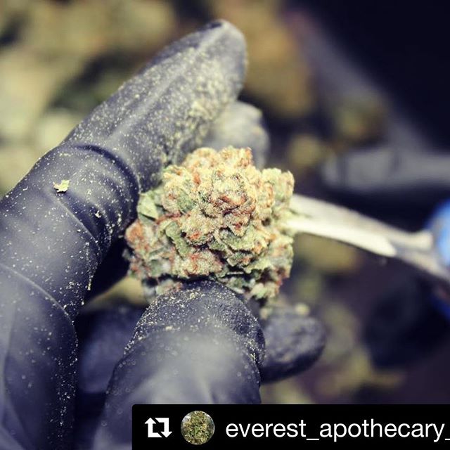 Everest Apothecary - Northeast Heights Website