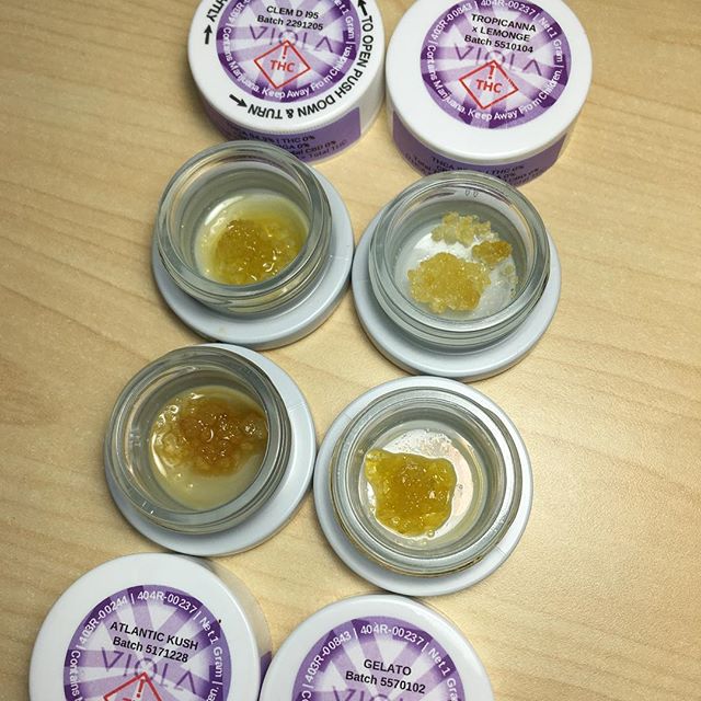 Harvest House Nederland Website