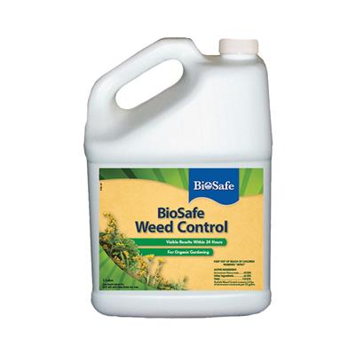 Hummert International Website