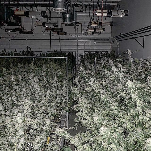 Spark1 - Bozeman Website