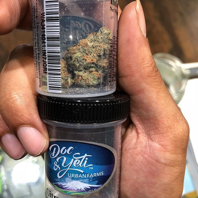 Elite - Lacey Website