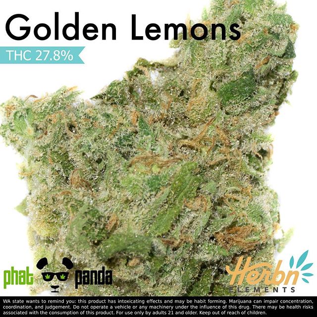 Herbn Elements – Lake City, Seattle Website