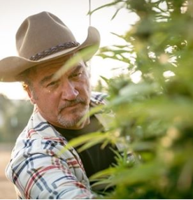 Belushis Farm Website