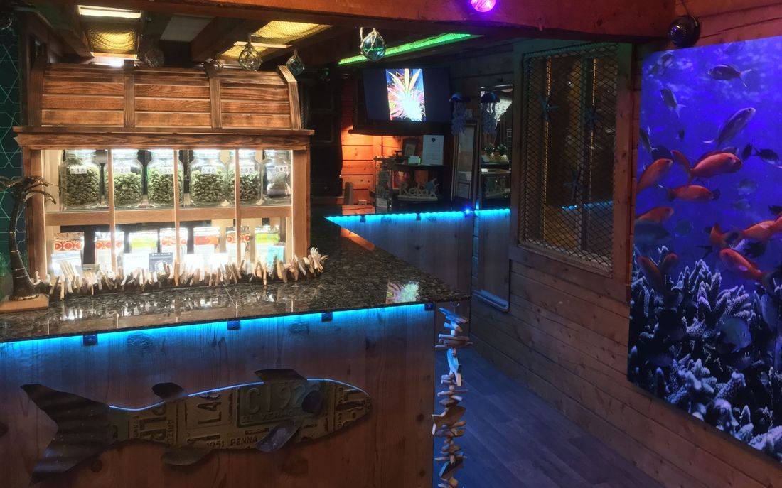 K Beach Reef Website