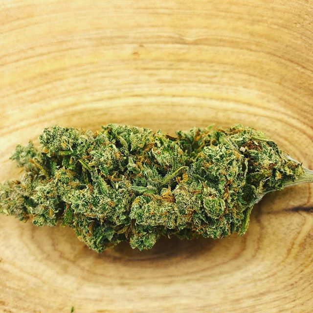 Diego Pellicer - Denver Website