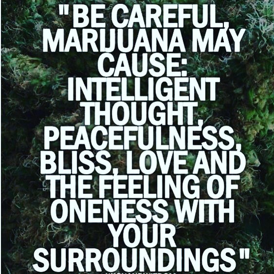 Collective Supply Website