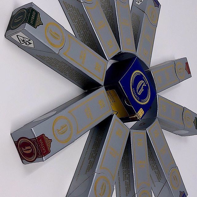 Dixon Wellness Website