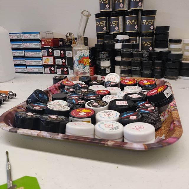 Trees Waterfront Website