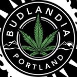 Budlandia - Division St. Website