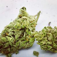 Ruby’s Green Garden (RGG LLC) Website