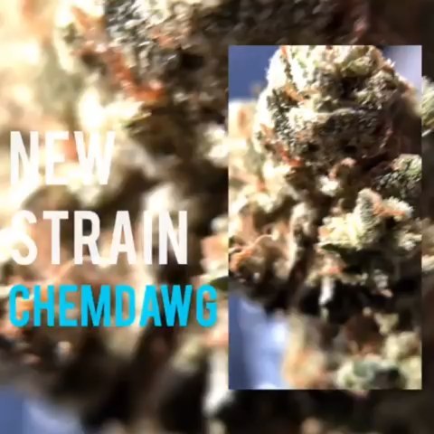 HPRC - Arcata Website