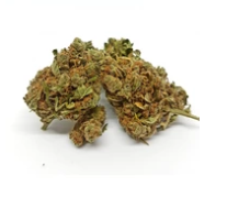 Kind CBD Flowers Website