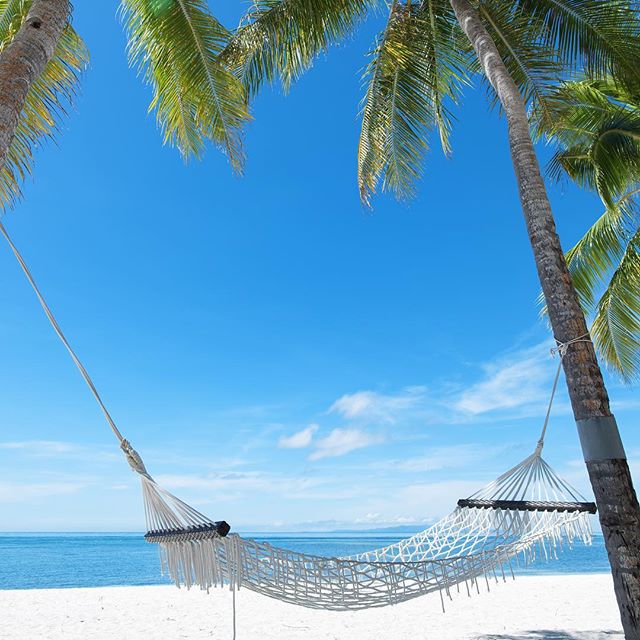 Surterra Wellness - Palm Bay Website