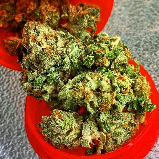 MMJDoctorOnline.com - Hayward Website