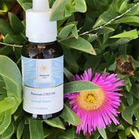 Premium Jane Website