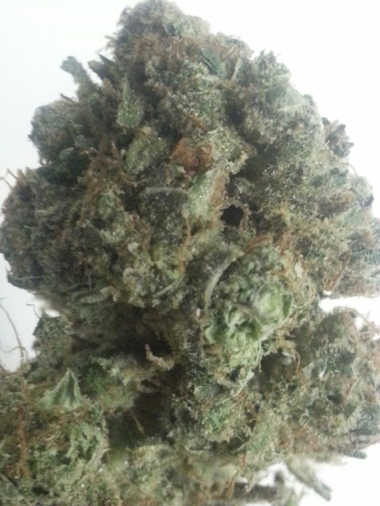 AGT - Lake Forest Website