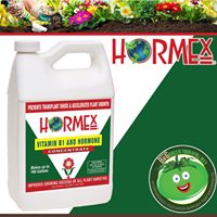 Big Green Tomato Website