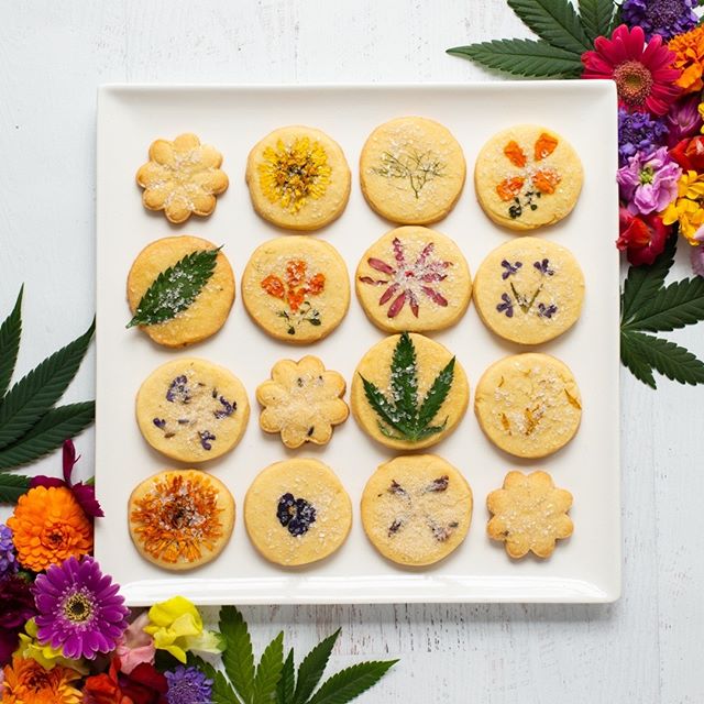 Curaleaf - Auburn Website