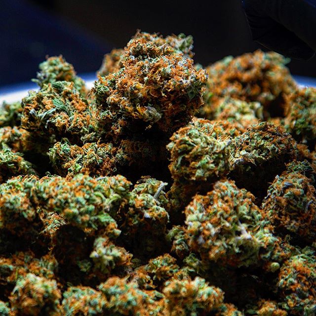 Shango Win Sivers "Airport" Website