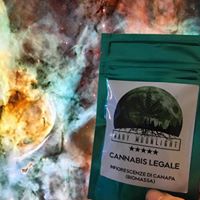 Mary Moonlight Website