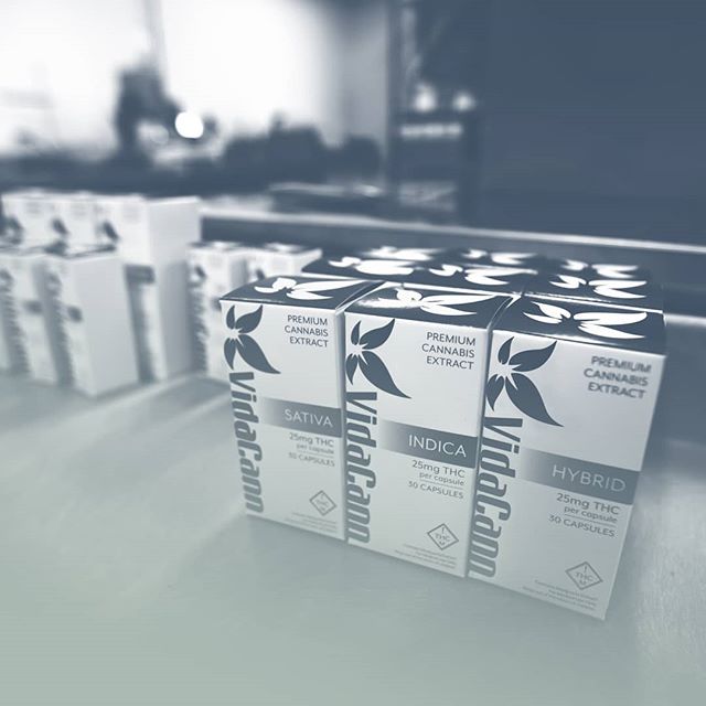 VidaCann - Daytona Beach Website