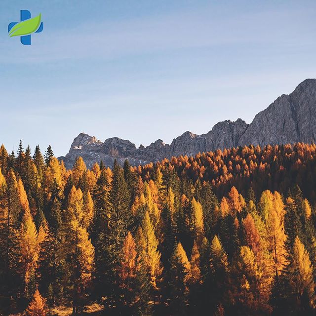 Natural Health Services - Calgary Website